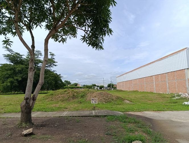 Lote en venta en Urb. Rosendo Garces, Montería, 1502 m² · foto 6 de 12