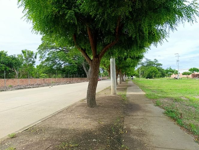 Lote en venta en Urb. Rosendo Garces, Montería, 1600 m² · foto 6 de 12