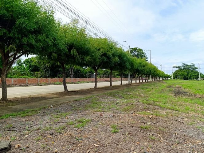 Lote en venta en Urb. Rosendo Garces, Montería, 1649 m² · foto 12 de 12