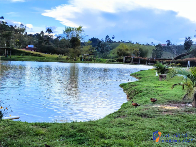 Lote en arriendo en Viboral, El Carmen de Viboral, 17000 m² · foto 21 de 24