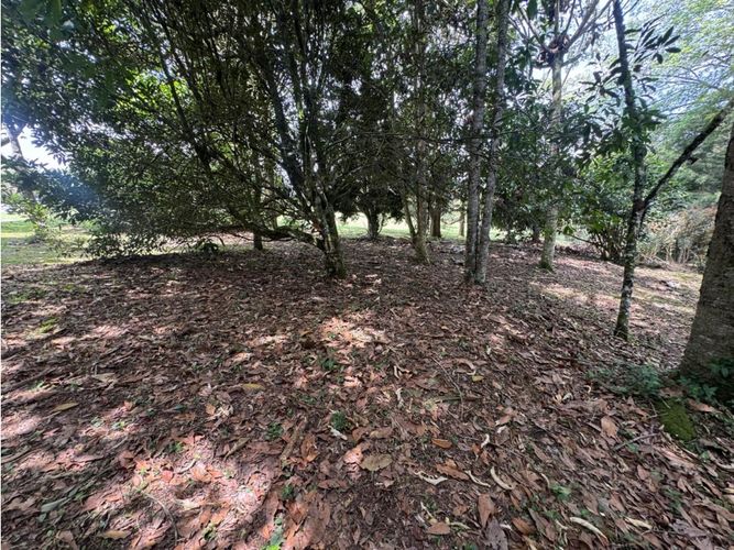 Lote en venta en Guamito, La Ceja, 2925 m² · foto 9 de 11