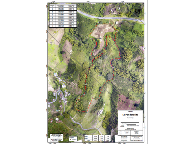 Lote en venta en Condina, Pereira, 70000 m² · foto 2 de 3