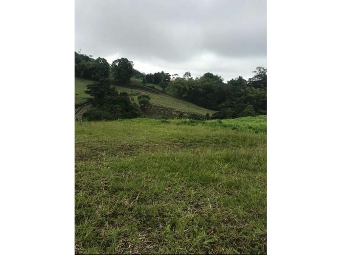 Lote en venta en Tribunas Corcega, Pereira, 2341 m² · foto 2 de 8