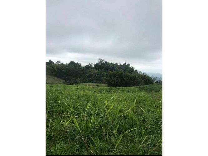 Lote en venta en Tribunas Corcega, Pereira, 2341 m² · foto 3 de 8