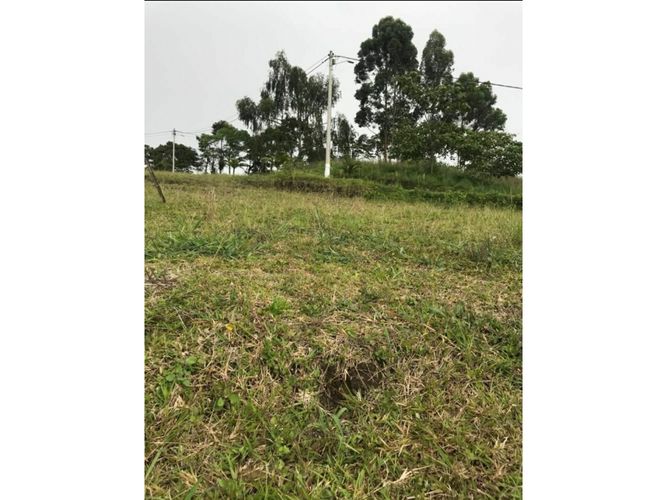 Lote en venta en Tribunas Corcega, Pereira, 2341 m² · foto 4 de 8