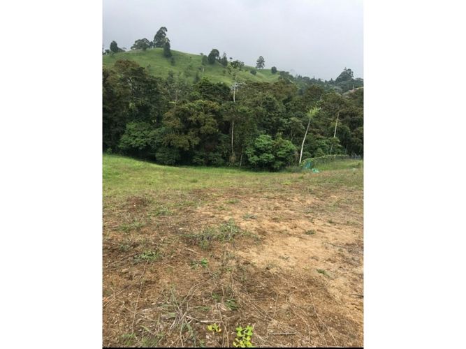 Lote en venta en Tribunas Corcega, Pereira, 2341 m² · foto 5 de 8