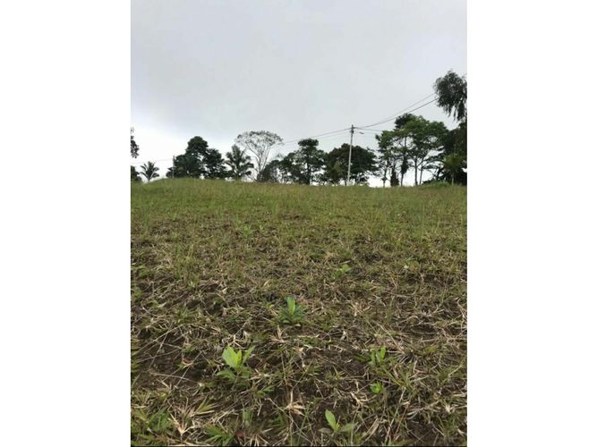 Lote en venta en Tribunas Corcega, Pereira, 2341 m² · foto 6 de 8