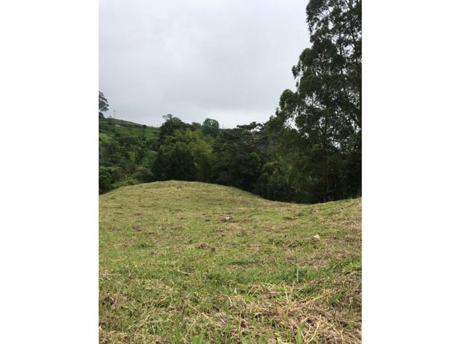 Lote en venta en Tribunas Corcega, Pereira, 2341 m² · foto 7 de 8
