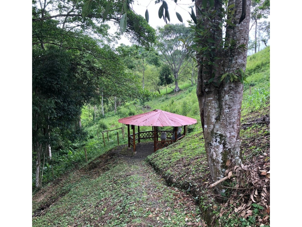Casa en venta en La Estrella La Palm, Pereira · foto 8 de 12