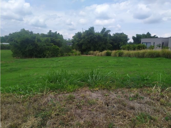 Lote en venta en Cerritos, Pereira, 3029 m² · foto 2 de 9
