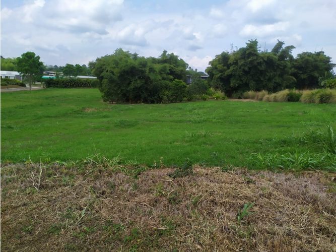Lote en venta en Cerritos, Pereira, 3029 m² · foto 4 de 9