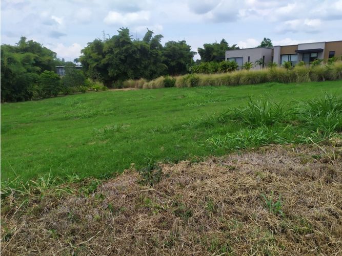 Lote en venta en Cerritos, Pereira, 3029 m² · foto 5 de 9