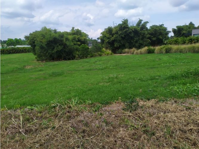Lote en venta en Cerritos, Pereira, 3029 m² · foto 6 de 9
