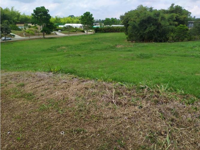 Lote en venta en Cerritos, Pereira, 3029 m² · foto 7 de 9