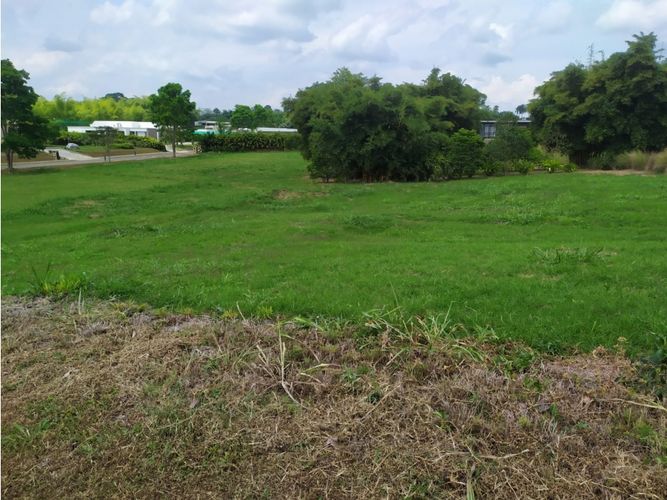 Lote en venta en Cerritos, Pereira, 3029 m² · foto 9 de 9