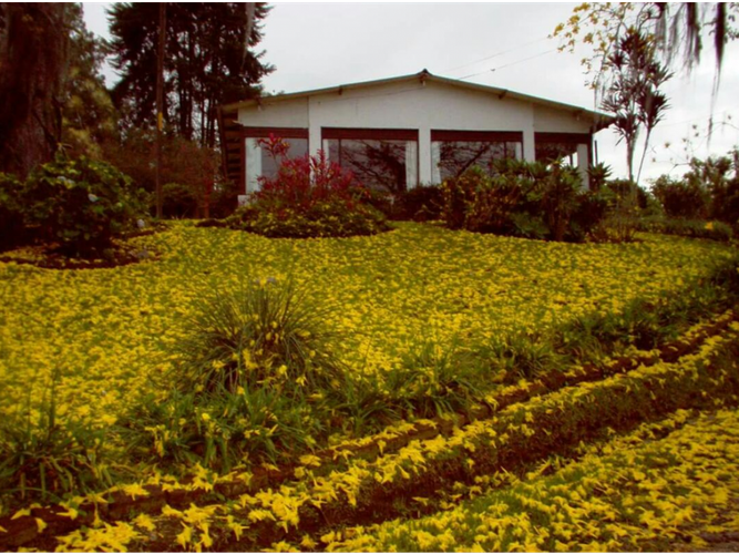 Lote en venta en Tribunas Corcega, Pereira, 30000 m² · foto 6 de 10