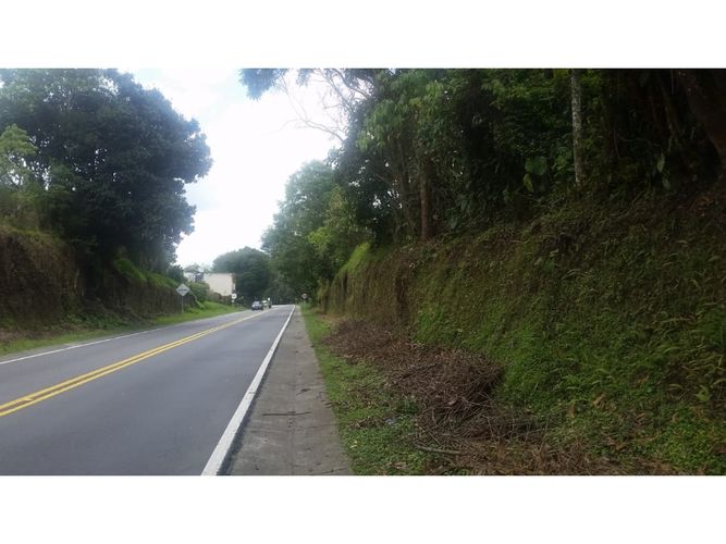 Lote en venta en Tribunas Corcega, Pereira, 30000 m² · foto 7 de 10