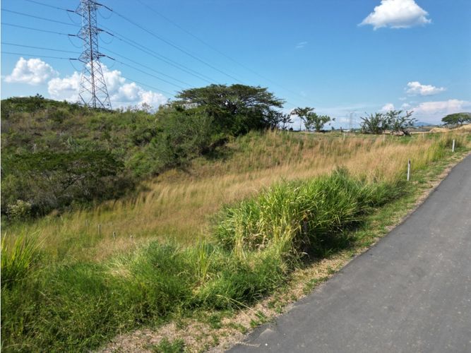 Lote en venta en Cerritos, Pereira, 2000 m² · foto 3 de 7