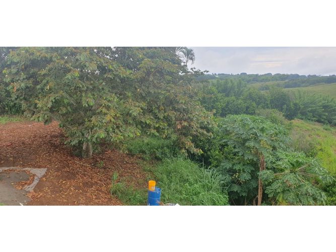 Lote en venta en Cerritos, Pereira, 2003 m² · foto 4 de 10