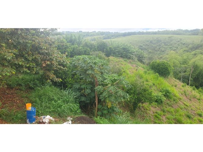 Lote en venta en Cerritos, Pereira, 2003 m² · foto 5 de 10