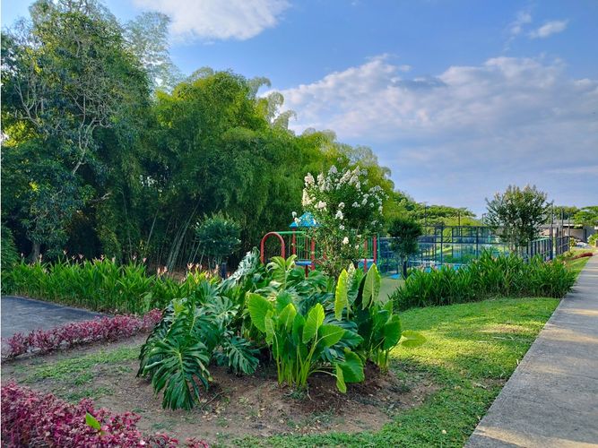 Lote en venta en Cerritos, Pereira, 2602 m² · foto 8 de 20