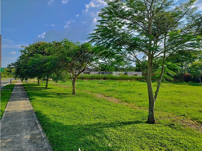 Lote en venta en Cerritos, Pereira, 2602 m² · foto 14 de 20