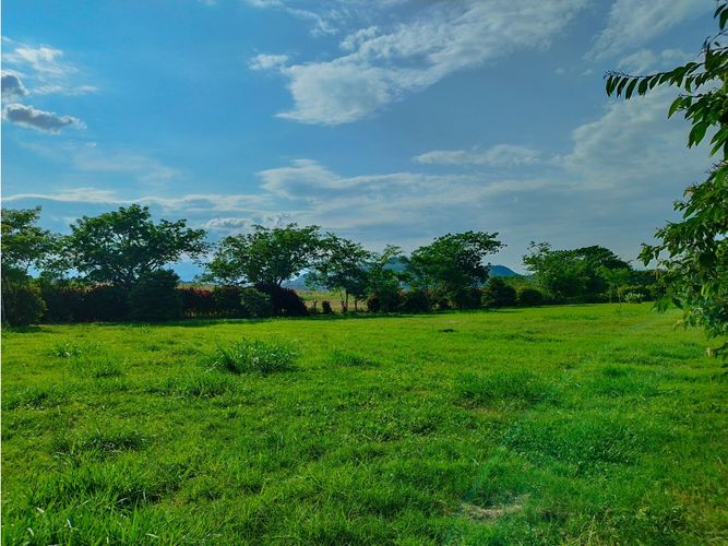 Lote en venta en Cerritos, Pereira, 2602 m² · foto 16 de 20