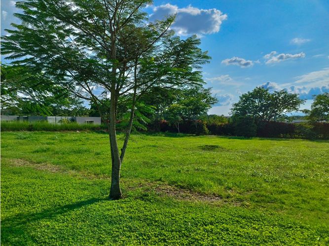 Lote en venta en Cerritos, Pereira, 2602 m² · foto 17 de 20
