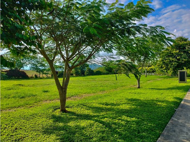 Lote en venta en Cerritos, Pereira, 2602 m² · foto 19 de 20