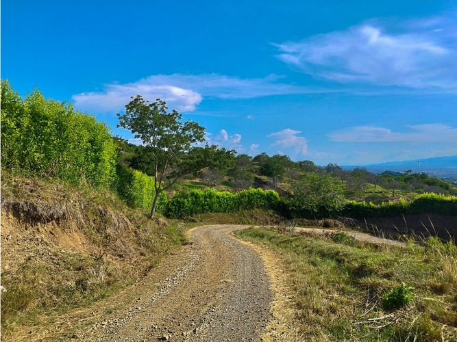 Lote en venta en Cerritos, Pereira, 13564 m² · foto 4 de 9