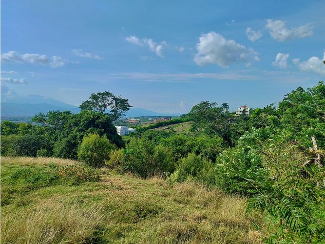 Lote en venta en Cerritos, Pereira, 13564 m² · foto 6 de 9