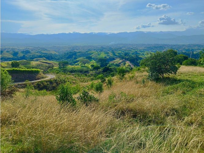 Lote en venta en Cerritos, Pereira, 13564 m² · foto 7 de 9
