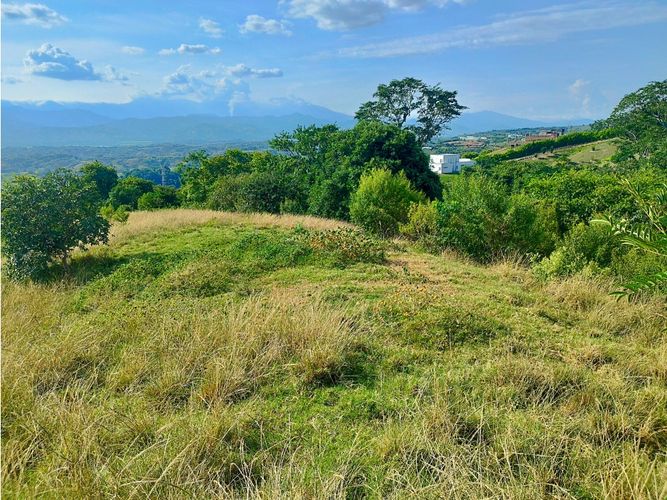 Lote en venta en Cerritos, Pereira, 13564 m² · foto 9 de 9