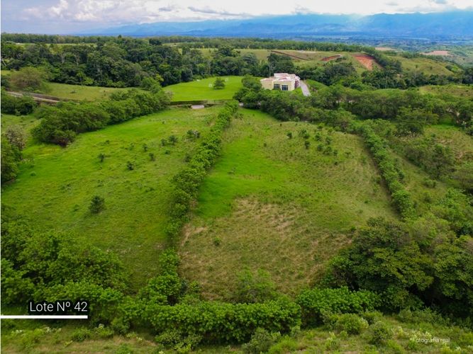 Lote en venta en Cerritos, Pereira, 10785 m² · foto 2 de 6