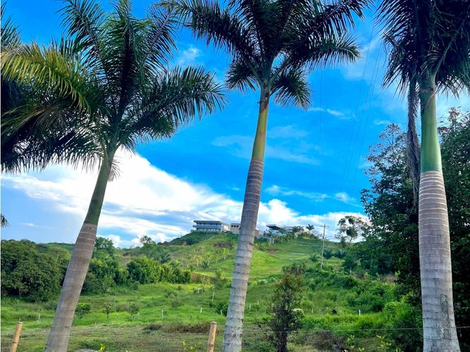 Lote en venta en Cerritos, Pereira, 2414 m² · foto 2 de 8