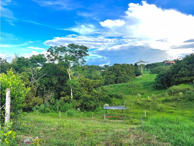 Lote en venta en Cerritos, Pereira, 2414 m² · foto 3 de 8