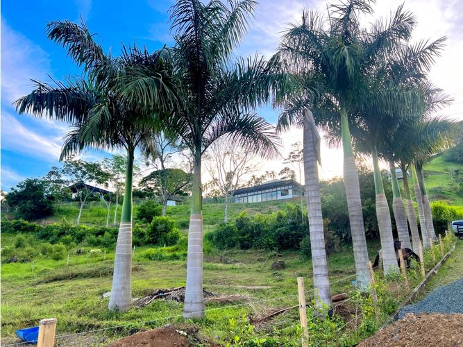 Lote en venta en Cerritos, Pereira, 2414 m² · foto 4 de 8