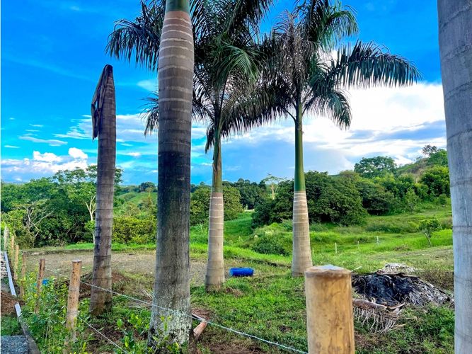Lote en venta en Cerritos, Pereira, 2414 m² · foto 6 de 8