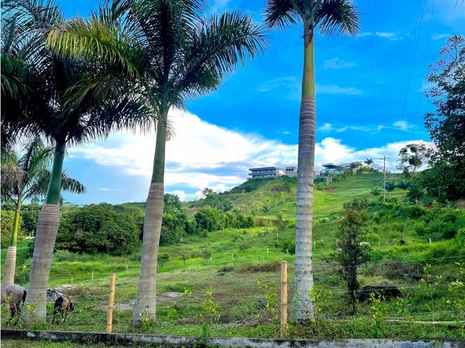 Lote en venta en Cerritos, Pereira, 2414 m² · foto 7 de 8