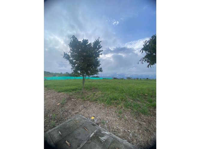 Lote en venta en Cerritos, Pereira, 2373 m² · foto 11 de 18