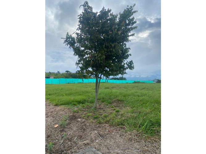 Lote en venta en Cerritos, Pereira, 2373 m² · foto 12 de 18
