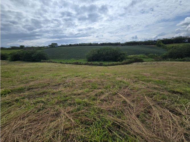 Lote en venta en Cerritos, Pereira, 2480 m² · foto 4 de 8