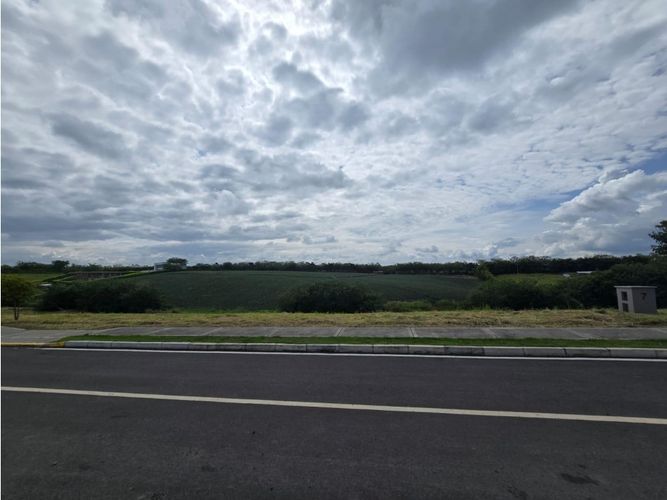 Lote en venta en Cerritos, Pereira, 2480 m² · foto 7 de 8