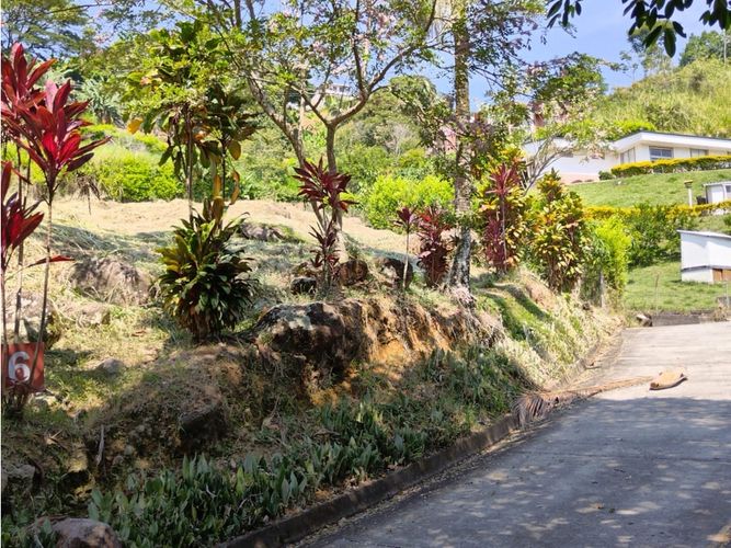 Lote en venta en Combia, Pereira, 1500 m² · foto 2 de 8