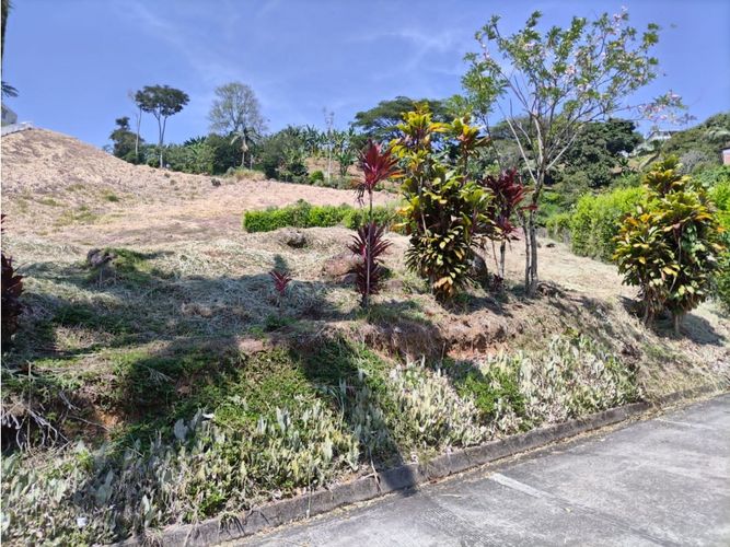Lote en venta en Combia, Pereira, 1500 m² · foto 5 de 8