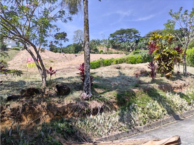 Lote en venta en Combia, Pereira, 1500 m² · foto 8 de 8