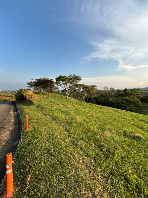 Lote en venta en Pance, Cali, 600 m² · foto 6 de 19