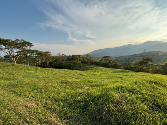 Lote en venta en Pance, Cali, 600 m² · foto 8 de 19
