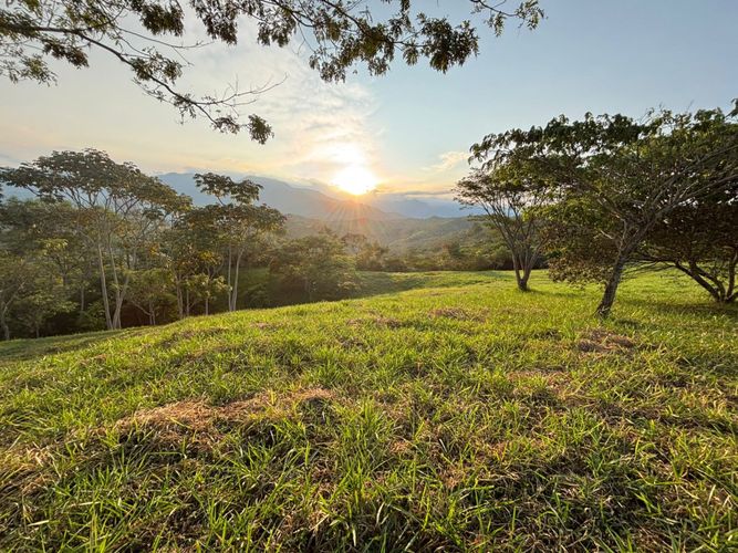 Lote en venta en Pance, Cali, 600 m² · foto 11 de 19