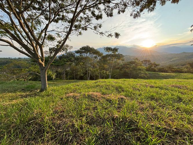Lote en venta en Pance, Cali, 600 m² · foto 13 de 19